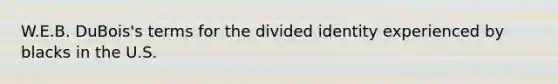 W.E.B. DuBois's terms for the divided identity experienced by blacks in the U.S.