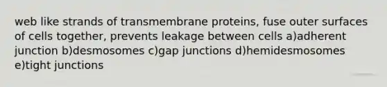 web like strands of transmembrane proteins, fuse outer surfaces of cells together, prevents leakage between cells a)adherent junction b)desmosomes c)gap junctions d)hemidesmosomes e)tight junctions