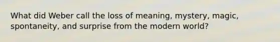 What did Weber call the loss of meaning, mystery, magic, spontaneity, and surprise from the modern world?