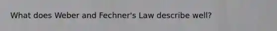 What does Weber and Fechner's Law describe well?