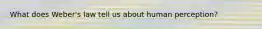 What does Weber's law tell us about human perception?