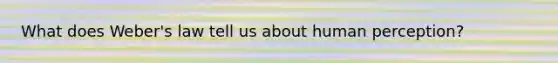 What does Weber's law tell us about human perception?