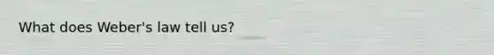 What does Weber's law tell us?