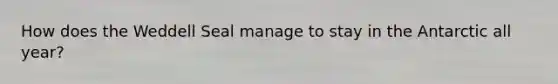 How does the Weddell Seal manage to stay in the Antarctic all year?