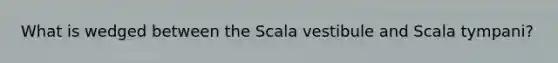 What is wedged between the Scala vestibule and Scala tympani?