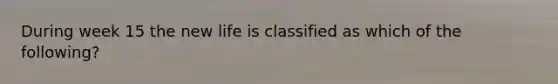 During week 15 the new life is classified as which of the following?