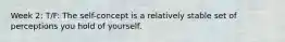Week 2: T/F: ​The self-concept is a relatively stable set of perceptions you hold of yourself.