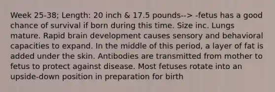 Week 25-38; Length: 20 inch & 17.5 pounds--> -fetus has a good chance of survival if born during this time. Size inc. Lungs mature. Rapid brain development causes sensory and behavioral capacities to expand. In the middle of this period, a layer of fat is added under the skin. Antibodies are transmitted from mother to fetus to protect against disease. Most fetuses rotate into an upside-down position in preparation for birth