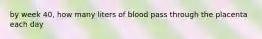 by week 40, how many liters of blood pass through the placenta each day