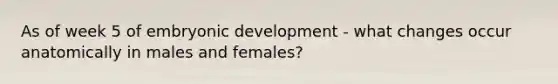 As of week 5 of embryonic development - what changes occur anatomically in males and females?