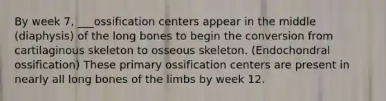 By week 7, ___ossification centers appear in the middle (diaphysis) of the long bones to begin the conversion from cartilaginous skeleton to osseous skeleton. (Endochondral ossification) These primary ossification centers are present in nearly all long bones of the limbs by week 12.