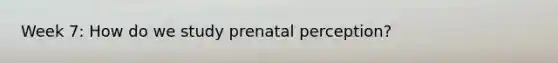 Week 7: How do we study prenatal perception?