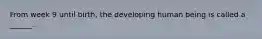 From week 9 until birth, the developing human being is called a ______.