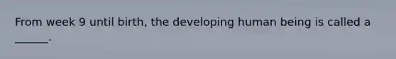 From week 9 until birth, the developing human being is called a ______.