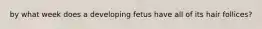 by what week does a developing fetus have all of its hair follices?