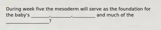 During week five the mesoderm will serve as the foundation for the baby's ________,_________,__________ and much of the ___________________?