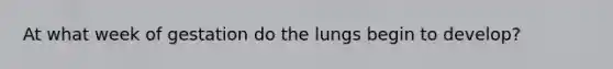 At what week of gestation do the lungs begin to develop?