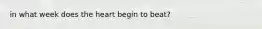 in what week does the heart begin to beat?