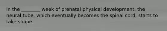 In the ________ week of prenatal physical development, the neural tube, which eventually becomes the spinal cord, starts to take shape.