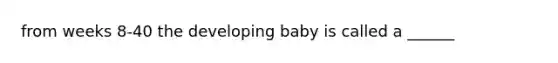 from weeks 8-40 the developing baby is called a ______