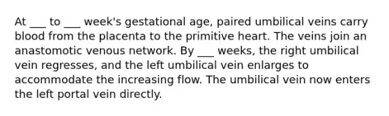 At ___ to ___ week's gestational age, paired umbilical veins carry blood from the placenta to the primitive heart. The veins join an anastomotic venous network. By ___ weeks, the right umbilical vein regresses, and the left umbilical vein enlarges to accommodate the increasing flow. The umbilical vein now enters the left portal vein directly.