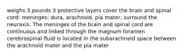 weighs 3 pounds 3 protective layers cover the brain and spinal cord: meninges: dura, arachnoid, pia mater, surround the neuraxis. The meninges of the brain and spinal cord are continuous and linked through the magnum foramen cerebrospinal fluid is located in the subarachnoid space between the arachnoid mater and the pia mater