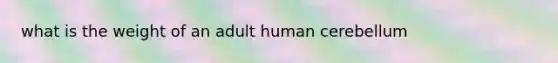 what is the weight of an adult human cerebellum