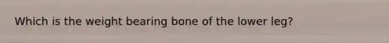 Which is the weight bearing bone of the lower leg?