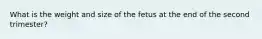 What is the weight and size of the fetus at the end of the second trimester?