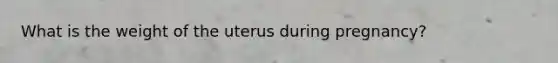 What is the weight of the uterus during pregnancy?