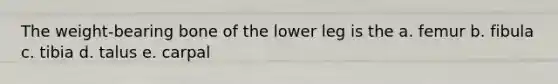 The weight-bearing bone of the lower leg is the a. femur b. fibula c. tibia d. talus e. carpal