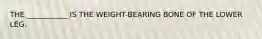 THE ___________ IS THE WEIGHT-BEARING BONE OF THE LOWER LEG.