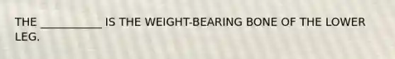 THE ___________ IS THE WEIGHT-BEARING BONE OF THE LOWER LEG.