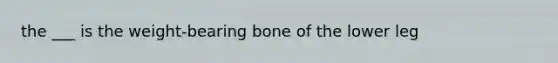 the ___ is the weight-bearing bone of the lower leg