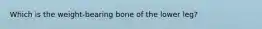 Which is the weight-bearing bone of the lower leg?