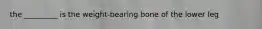 the _________ is the weight-bearing bone of the lower leg