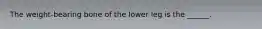 The weight-bearing bone of the lower leg is the ______.