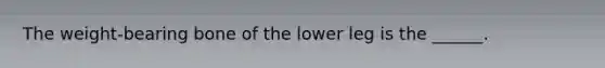 The weight-bearing bone of the lower leg is the ______.