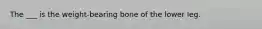 The ___ is the weight-bearing bone of the lower leg.