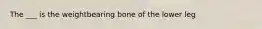 The ___ is the weightbearing bone of the lower leg