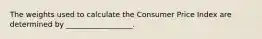 The weights used to calculate the Consumer Price Index are determined by __________________.