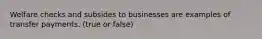 Welfare checks and subsides to businesses are examples of transfer payments. (true or false)