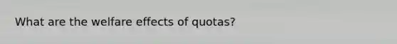 What are the welfare effects of quotas?