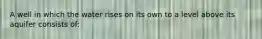 A well in which the water rises on its own to a level above its aquifer consists of: