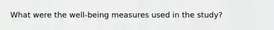 What were the well-being measures used in the study?