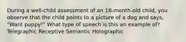 During a well-child assessment of an 18-month-old child, you observe that the child points to a picture of a dog and says, "Want puppy!" What type of speech is this an example of? Telegraphic Receptive Semantic Holographic