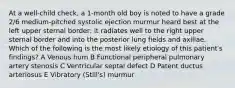 At a well-child check, a 1-month old boy is noted to have a grade 2/6 medium-pitched systolic ejection murmur heard best at the left upper sternal border; it radiates well to the right upper sternal border and into the posterior lung fields and axillae. Which of the following is the most likely etiology of this patient′s findings? A Venous hum B Functional peripheral pulmonary artery stenosis C Ventricular septal defect D Patent ductus arteriosus E Vibratory (Still's) murmur