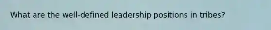 What are the well-defined leadership positions in tribes?