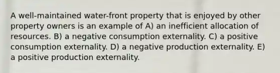 A well-maintained water-front property that is enjoyed by other property owners is an example of A) an inefficient allocation of resources. B) a negative consumption externality. C) a positive consumption externality. D) a negative production externality. E) a positive production externality.