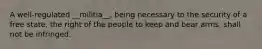 A well-regulated __militia__, being necessary to the security of a free state, the right of the people to keep and bear arms, shall not be infringed.